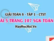 Giải bài 5 trang 107 Toán 8 Tập 1 SGK Chân trời sáng tạo